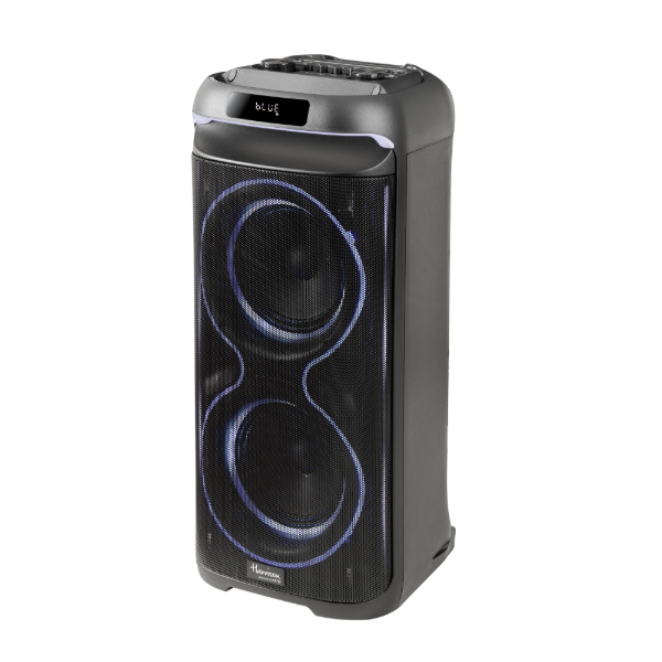 Parlante Reggae - Image 2