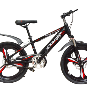 Bicicleta Mountain Bike cuerpo de acero rodado 20