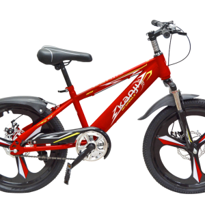 Bicicleta Mountain Bike cuerpo de acero rodado 20