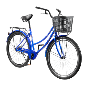 Bicicleta Mountain Bike cuerpo de acero rodado 27